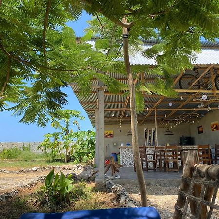 Habibis Bottle House Bed and Breakfast Nungwi Exteriör bild
