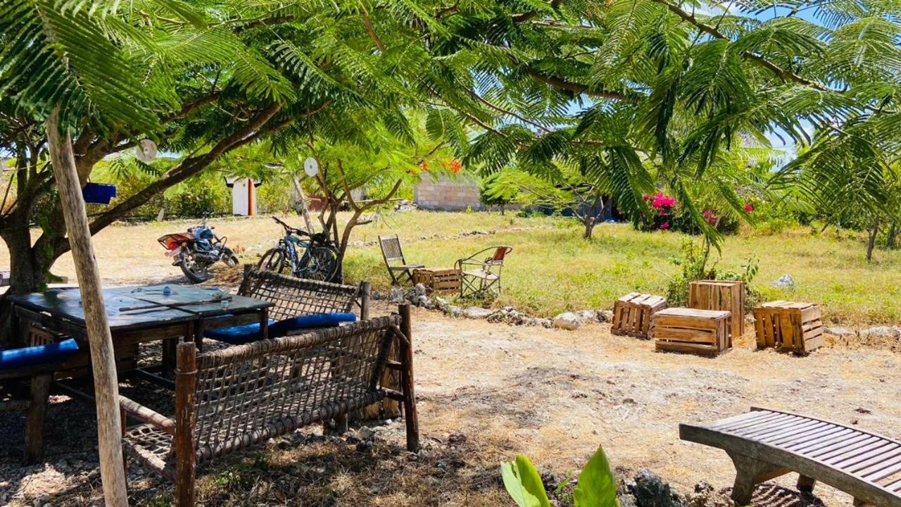 Habibis Bottle House Bed and Breakfast Nungwi Exteriör bild
